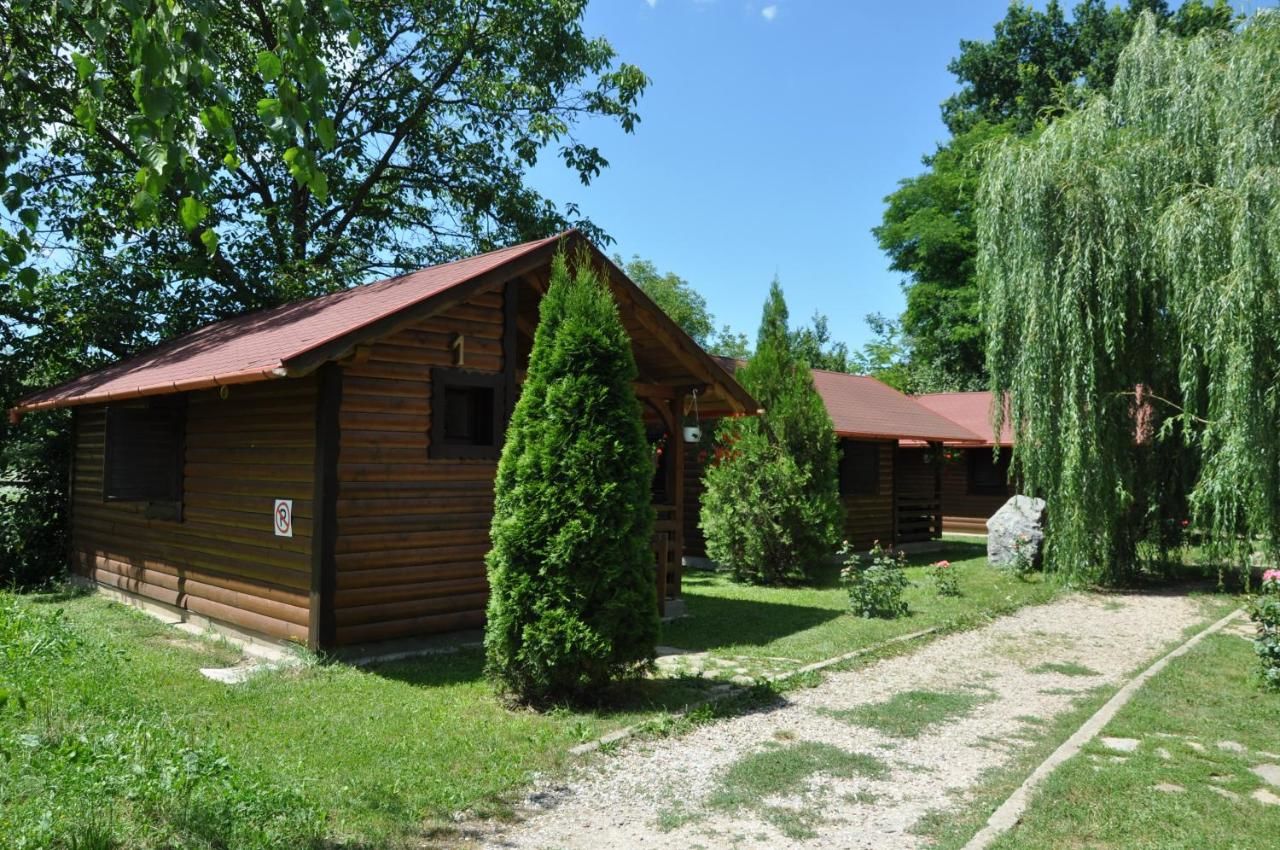 Кемпинги Turul Guesthouse and Camping Remetea-4