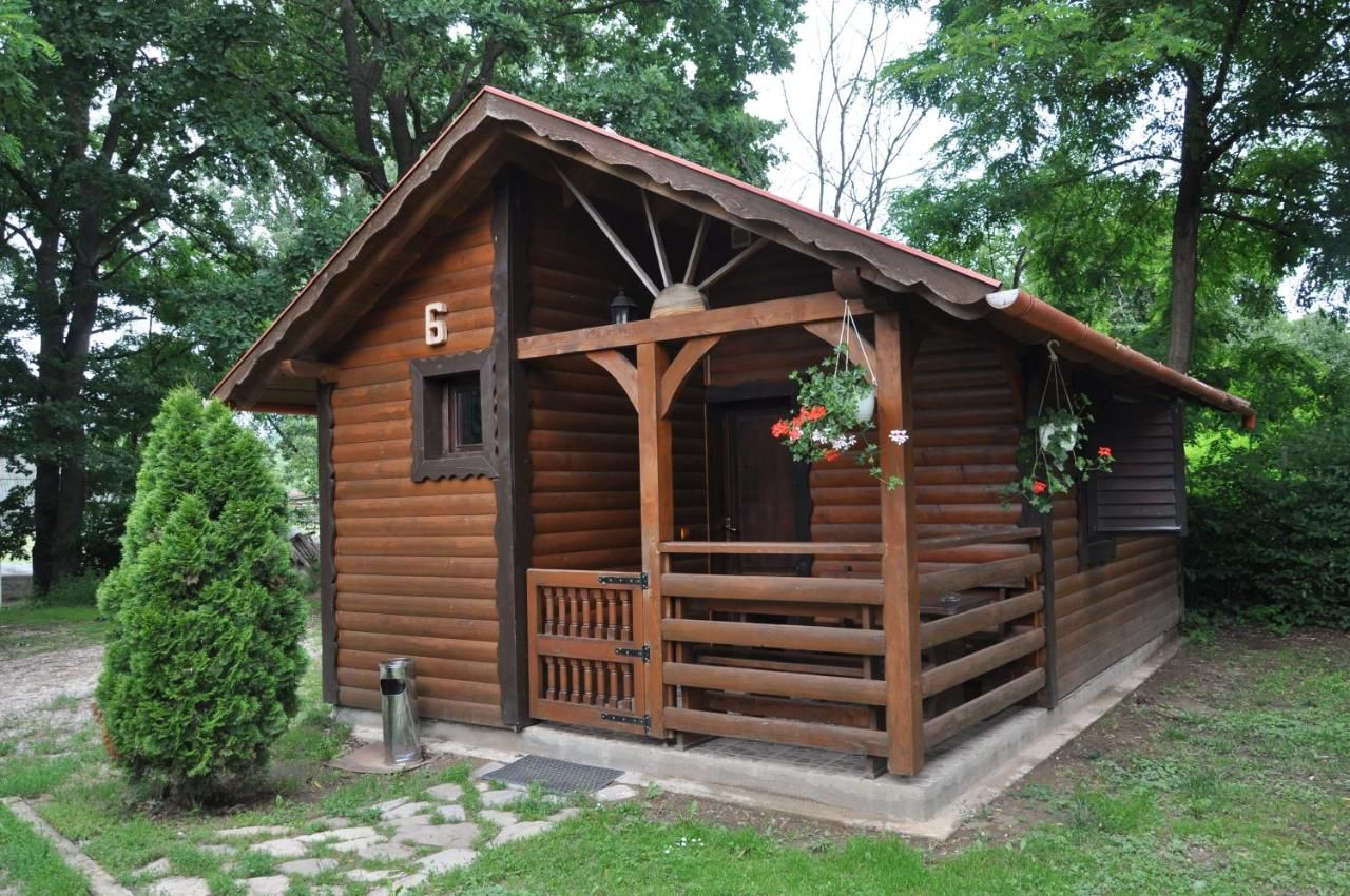 Кемпинги Turul Guesthouse and Camping Remetea-14