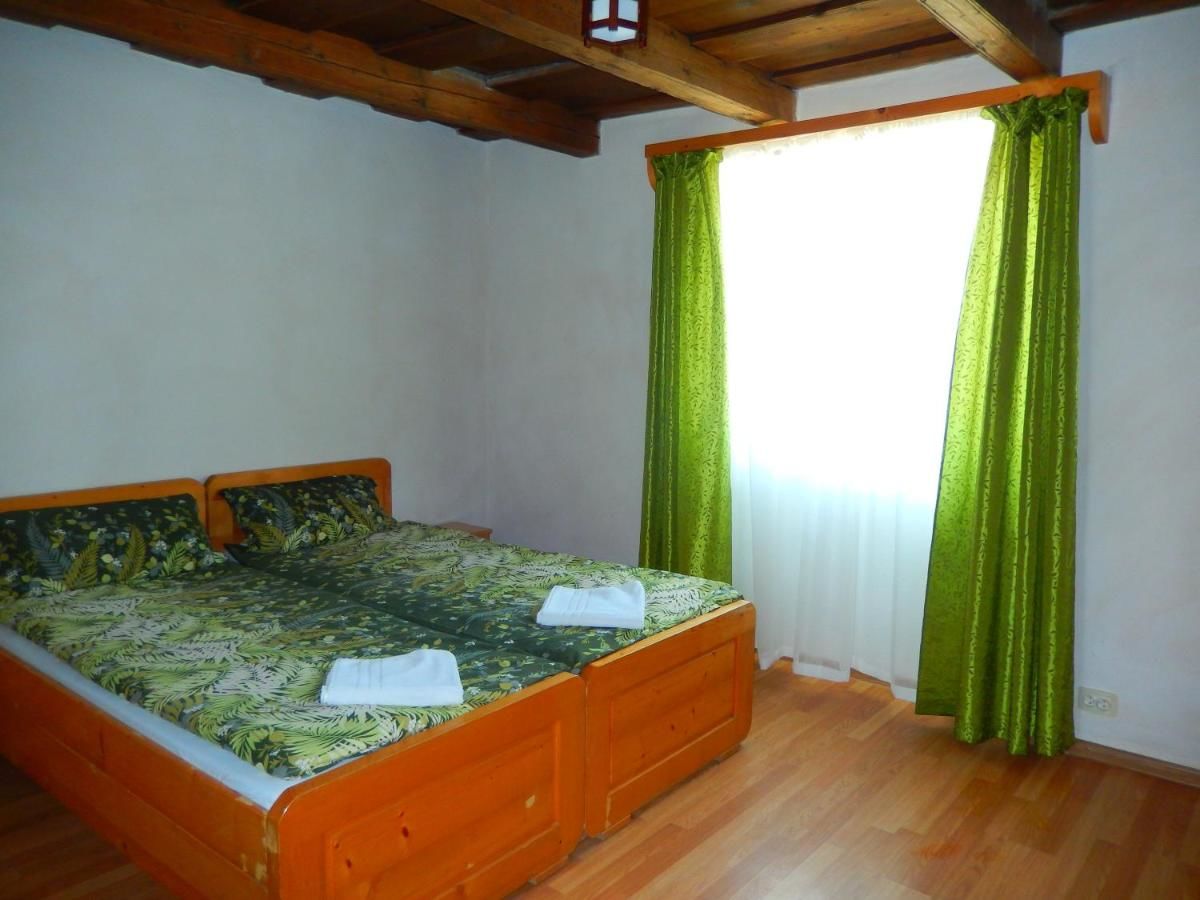 Кемпинги Turul Guesthouse and Camping Remetea-19