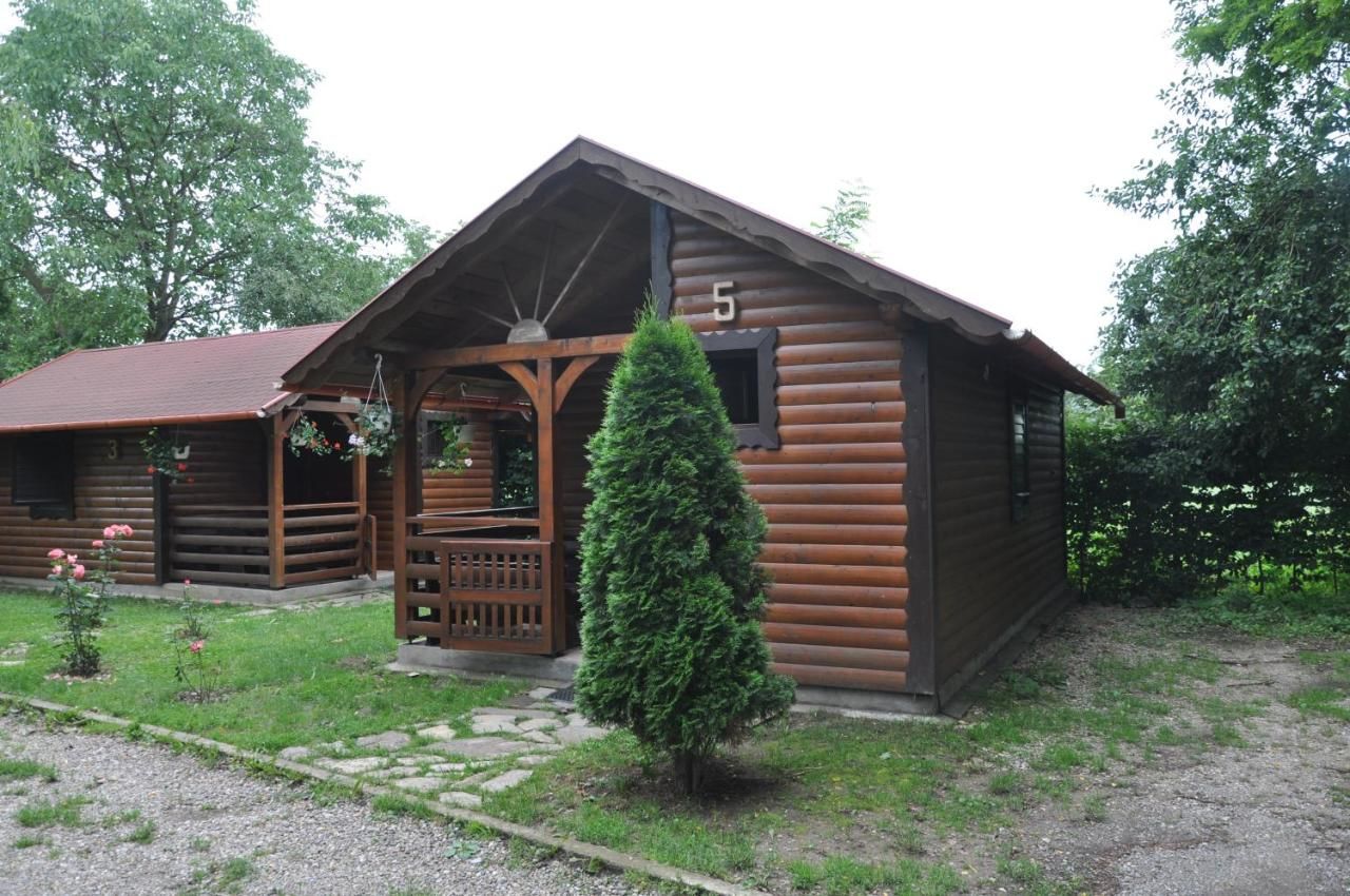 Кемпинги Turul Guesthouse and Camping Remetea-5