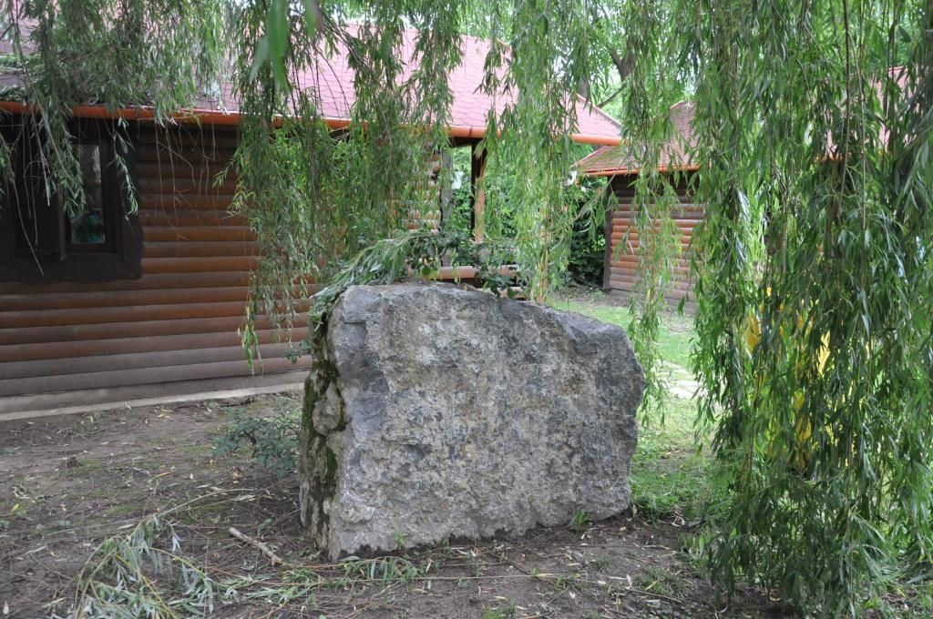 Кемпинги Turul Guesthouse and Camping Remetea-49