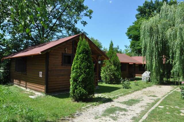Кемпинги Turul Guesthouse and Camping Remetea-3